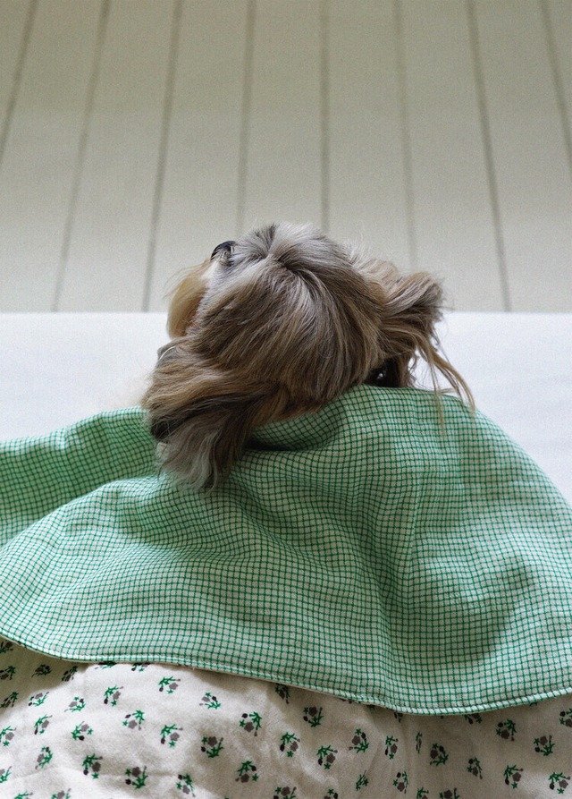 〈 予約アイテム 〉OHDIBS / Grandma Blanket _ green