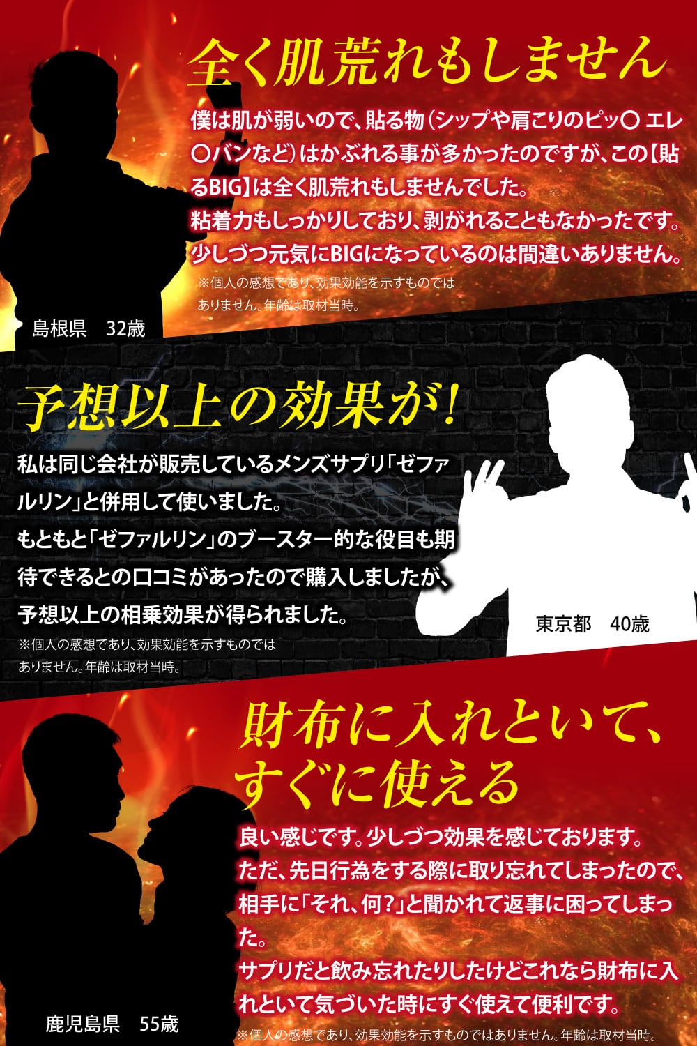貼るBIG＜新発想のパッチタイプ＞ 日本製！貼るサプリ 10枚入り×1包