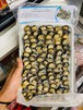 Ốc Bươu - Frozen Apple Snail Meat(500g)