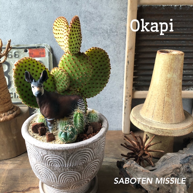 Okapi