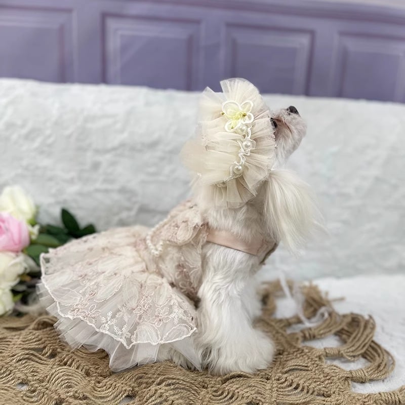 大型犬もOK ヘッドドレス付きのお嬢様なワンピース