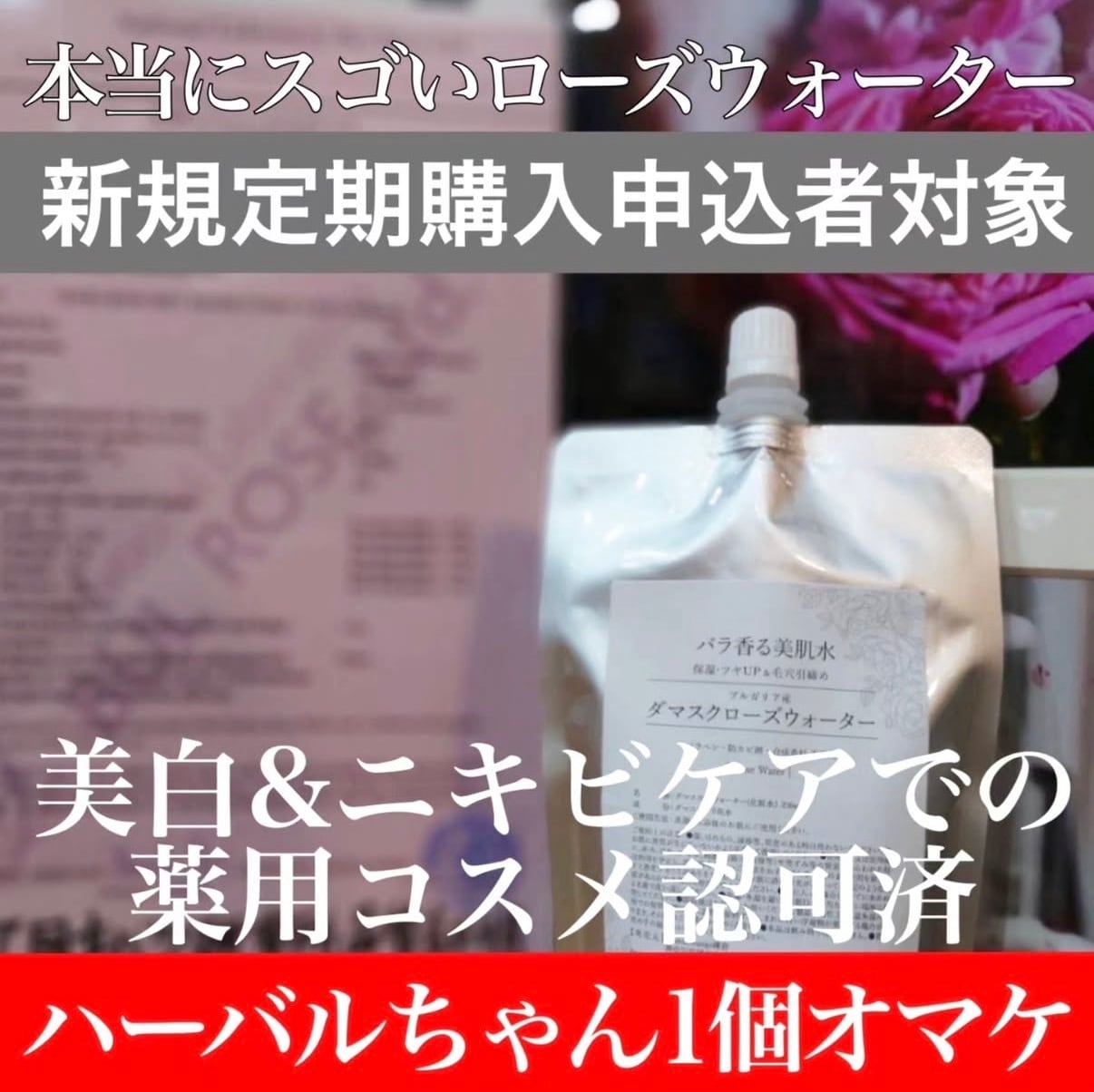 GreenLounge（グリーンラウンジ）鎌倉