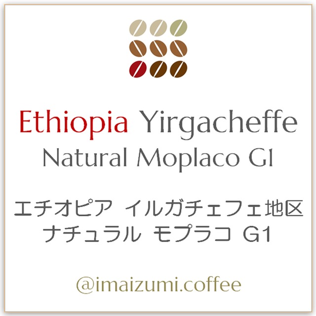 【送料込】エチオピア イルガチェフェ地区 ナチュラル モプラコ G1 - Ethiopia Yirgacheffe Natural Moplaco G1 - 300g(100g×3)