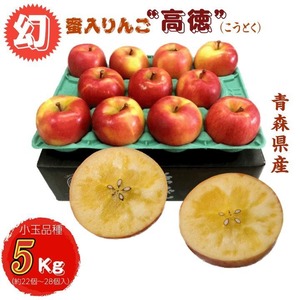 りんご 予約販売 話題のこうとく! 5Kg 人気の高徳 小玉こみつ 数量限定 送料無料 産地直送
