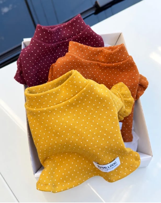 予約【buyalldog】Dot Frill Top (3color)