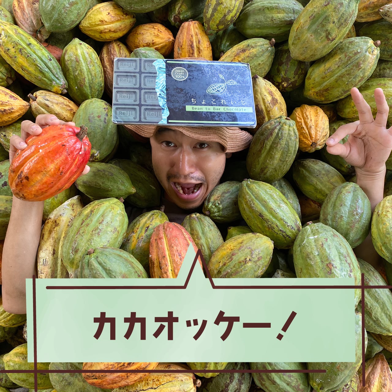チョコ語がわかるPDF辞書！ちょこれい辞苑 第一版 | ちょこれいじ