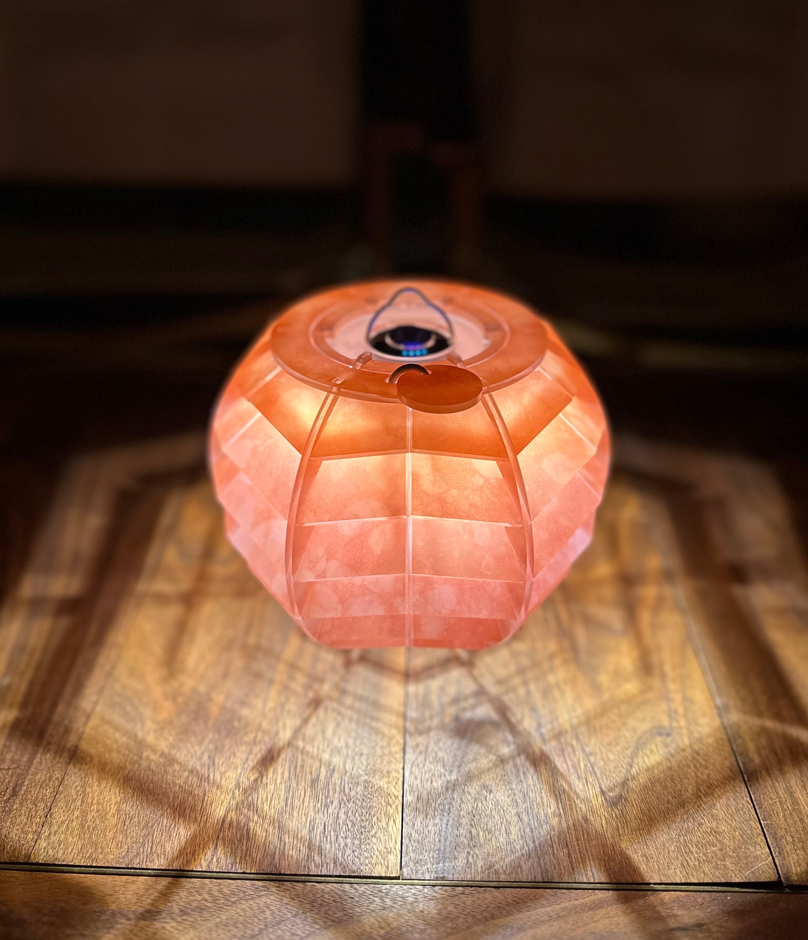 BELKROOTベルクロートBOTAN Bigサクラ 【公式通販】