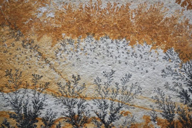 ドイツ産デンドライト 忍石 Dendritic limestone 1818