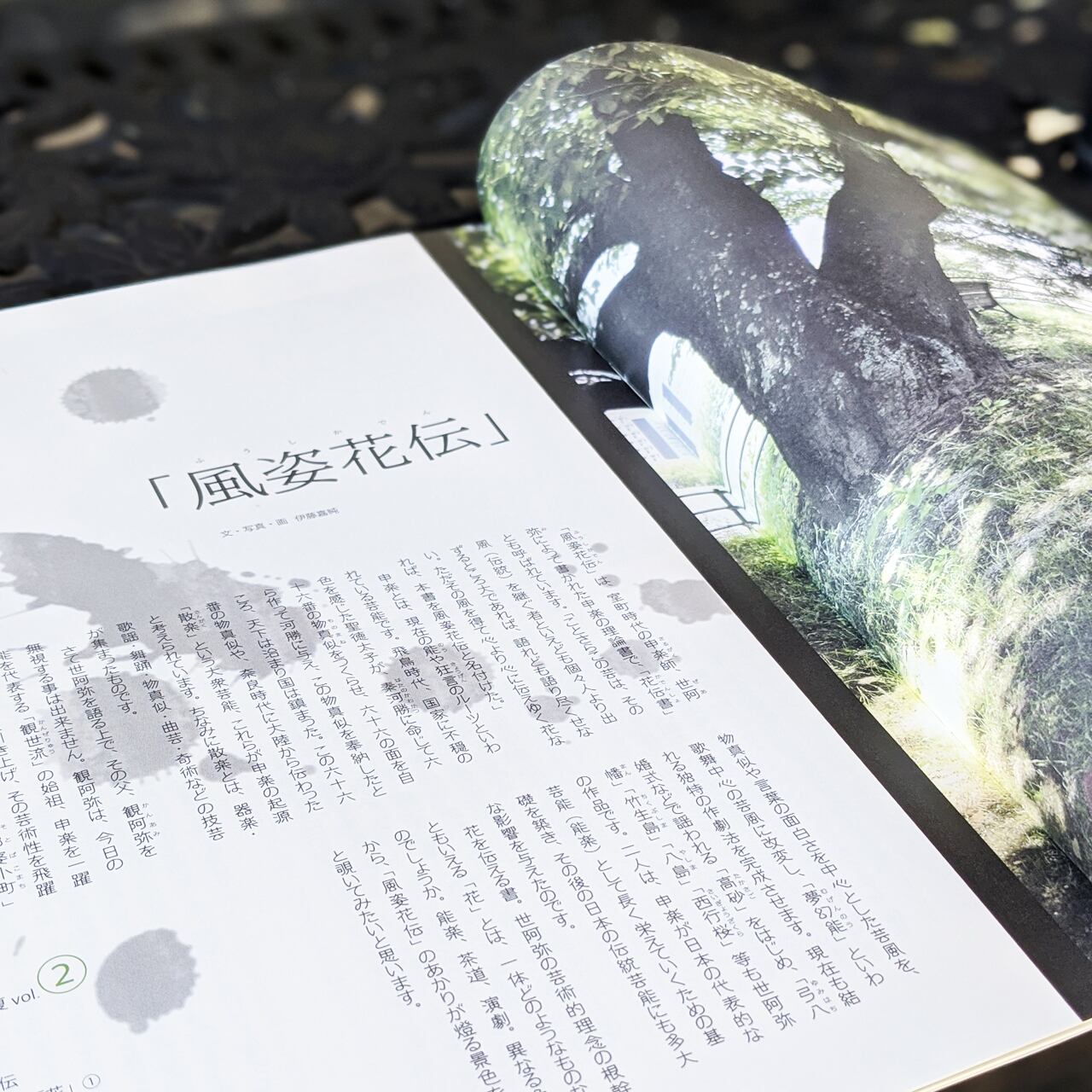back number会報誌 vol 1〜20 ファイルセット｜Yahoo!フリマ（旧PayPay