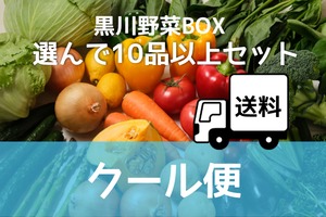 【クール便】選んで10品以上黒川野菜BOX１００サイズ（送料）