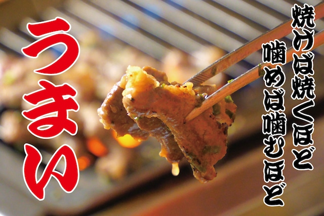 【塩だれVer】牛焼肉スルメ264g(132g×2パック)~お得パック〜