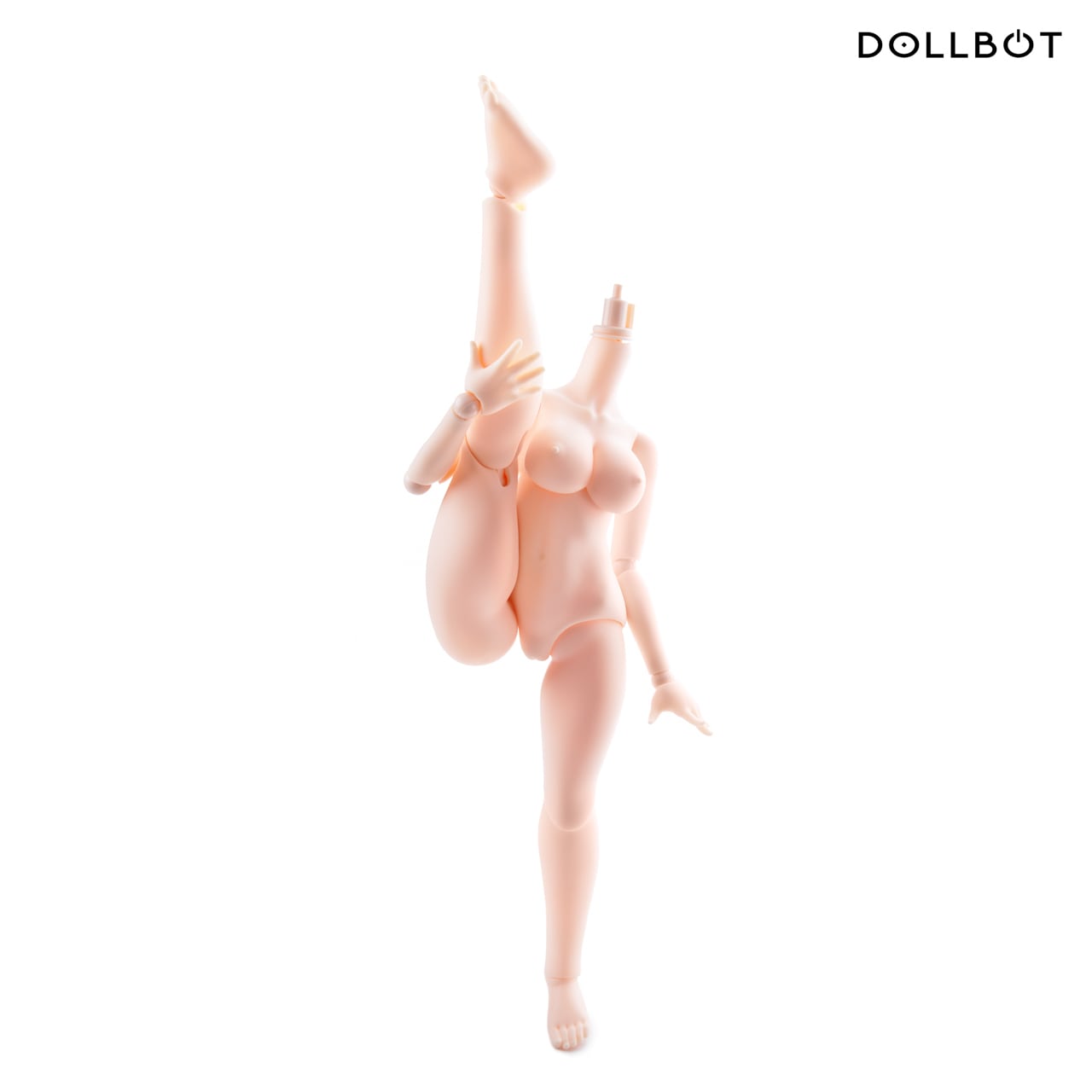 DBCボディ（高可動ボディPLUSタイプ・フレーム Ver1.3仕様） | DOLLBOT