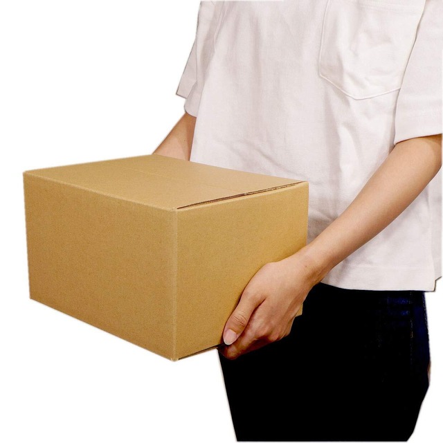 【特価商品】日本製 ダンボール 60サイズ 段ボール 20枚セット 宅配便 引越し 梱包 収納 箱 60 dB1-20