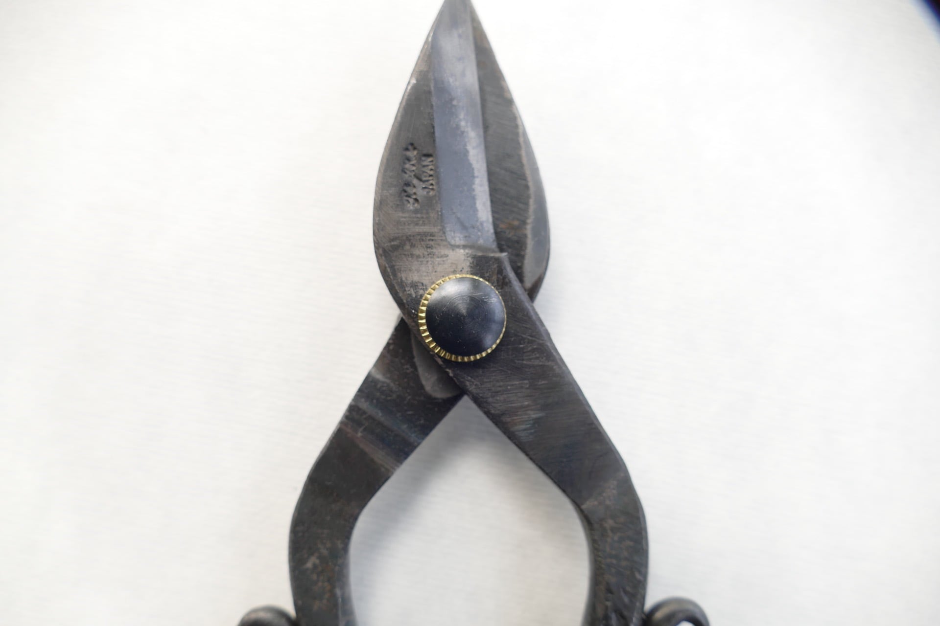 TAjiKA Branch & root shears | nishinohara online store nakaniwa
