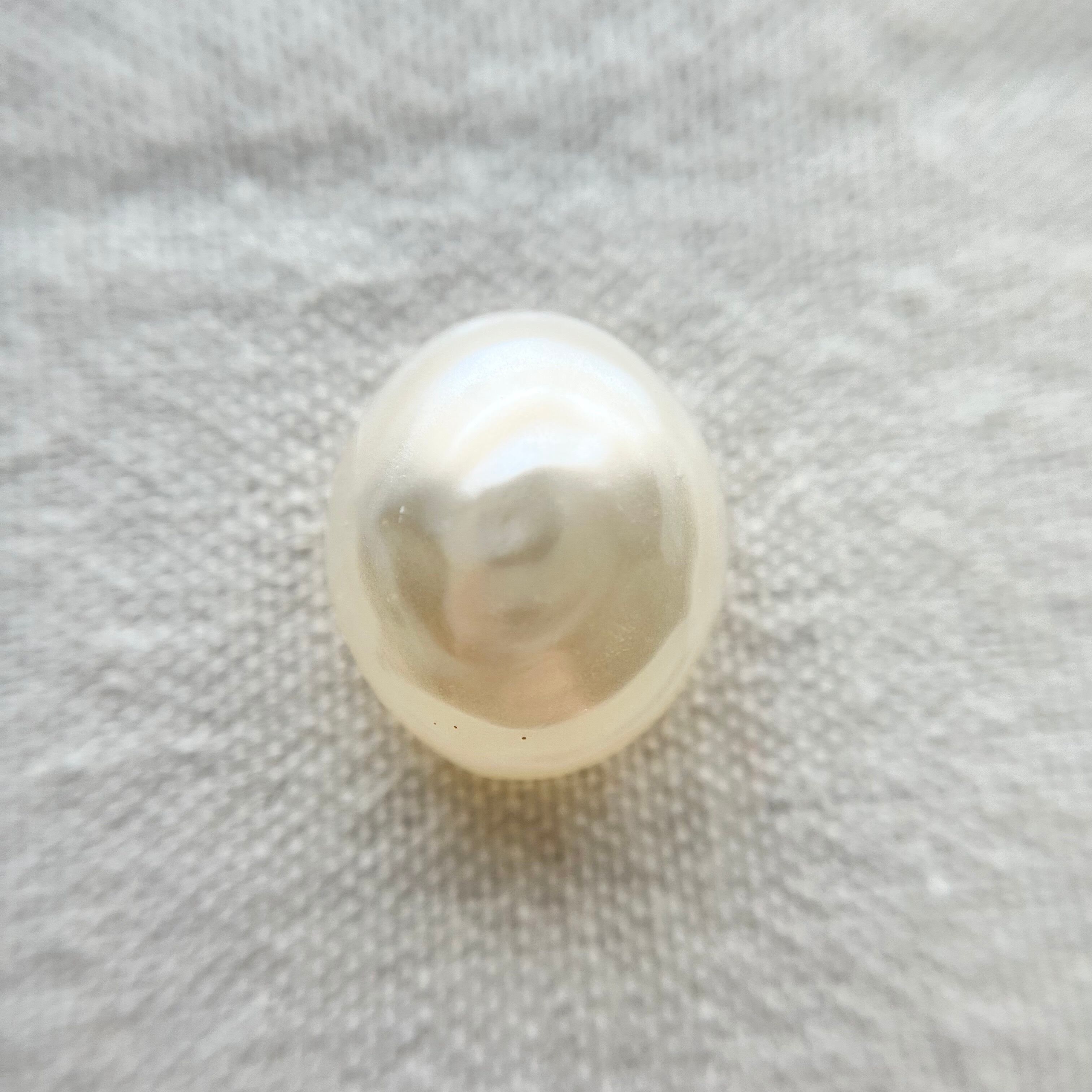 オーバル パールホワイト 19㎜