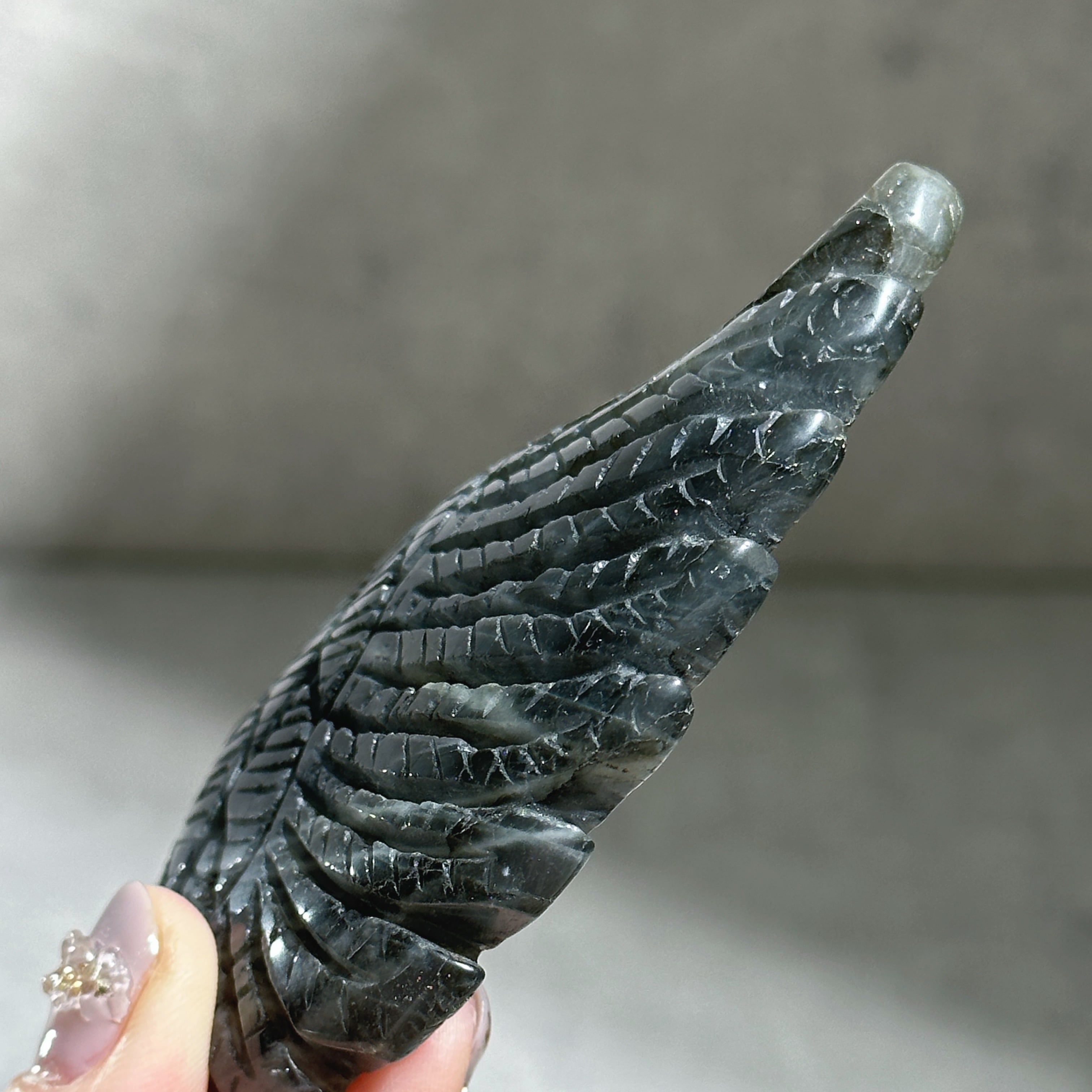 ラブラドライト エンジェルウィング11◇ Labradorite ◇天然石・鉱物