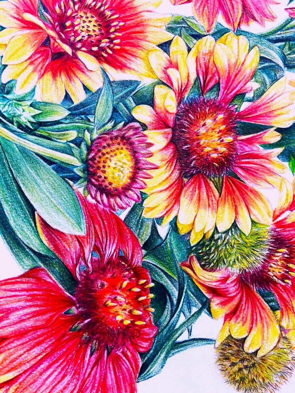 a92-2海外輸入フラワーアートパネルローズ特大4枚組120cm薔薇バラ花