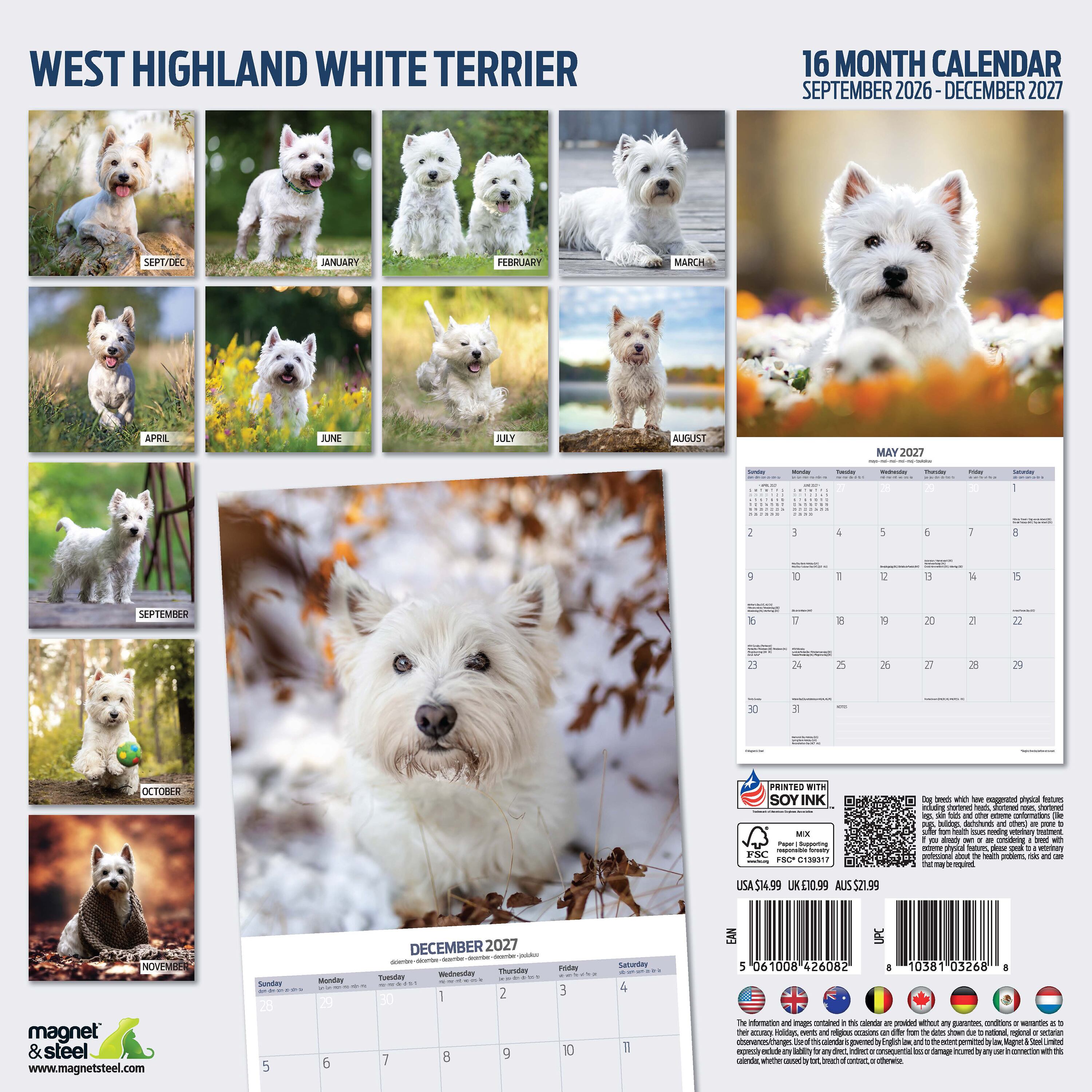 【2027年版】英国製犬種カレンダー【ウェスト・ハイランド・ホワイト・テリア】Traditional 2027年版