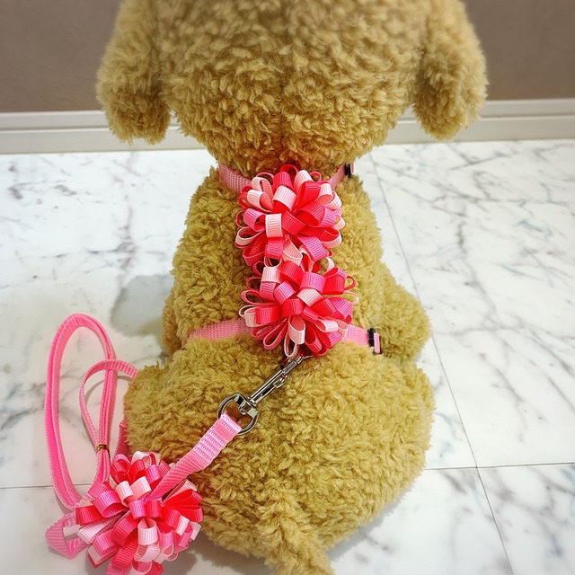犬ハーネス♡猫ハーネス 小型犬 首輪 ペット フラワーリボンＡ⑤: S.M