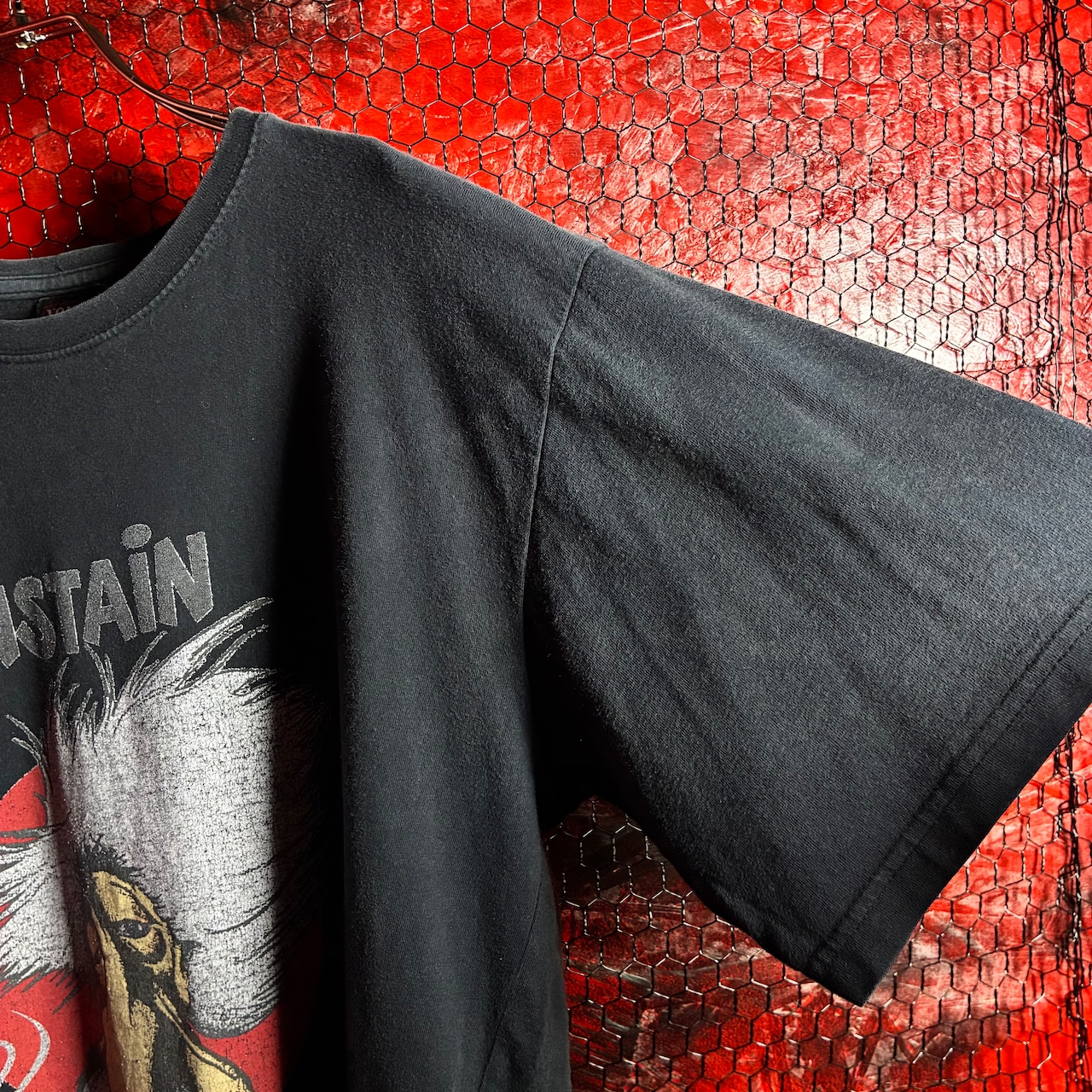 00s HiNSTAiN グラフィックTシャツ アインシュタインパロディ
