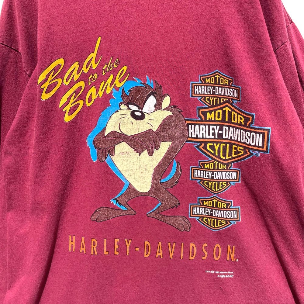 Harley-Davidson × Warner Bros] Vintage L/ST shirt [1993s - Made In