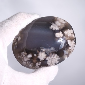 ブラック フラワーアゲート / パーム 握り石