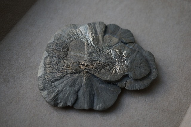 パイライトサン Pyrite Sun 1677