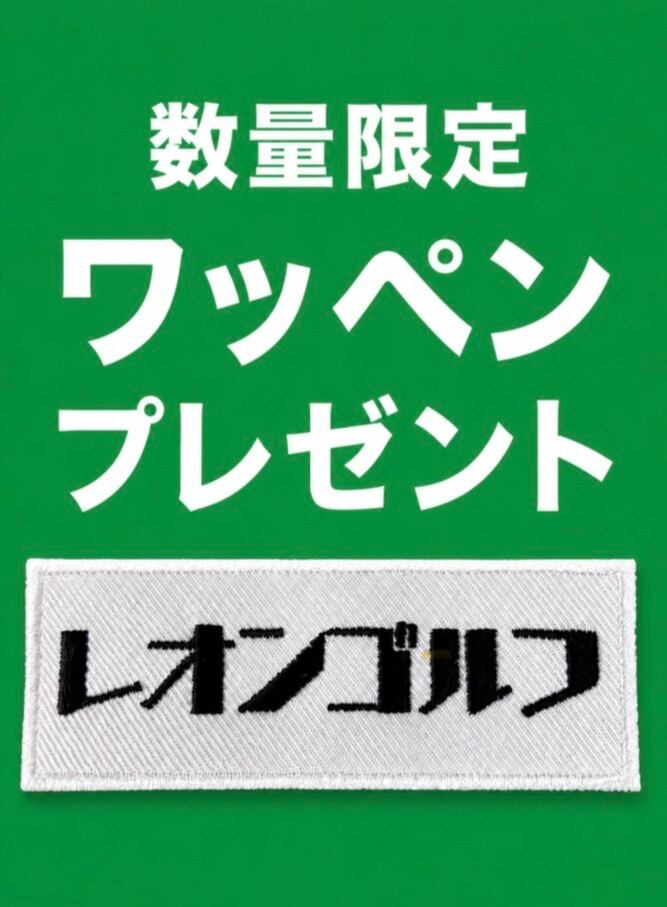 スリーブロゴズレ【特別セール】キャロウェイスリーブ 6x(非純正