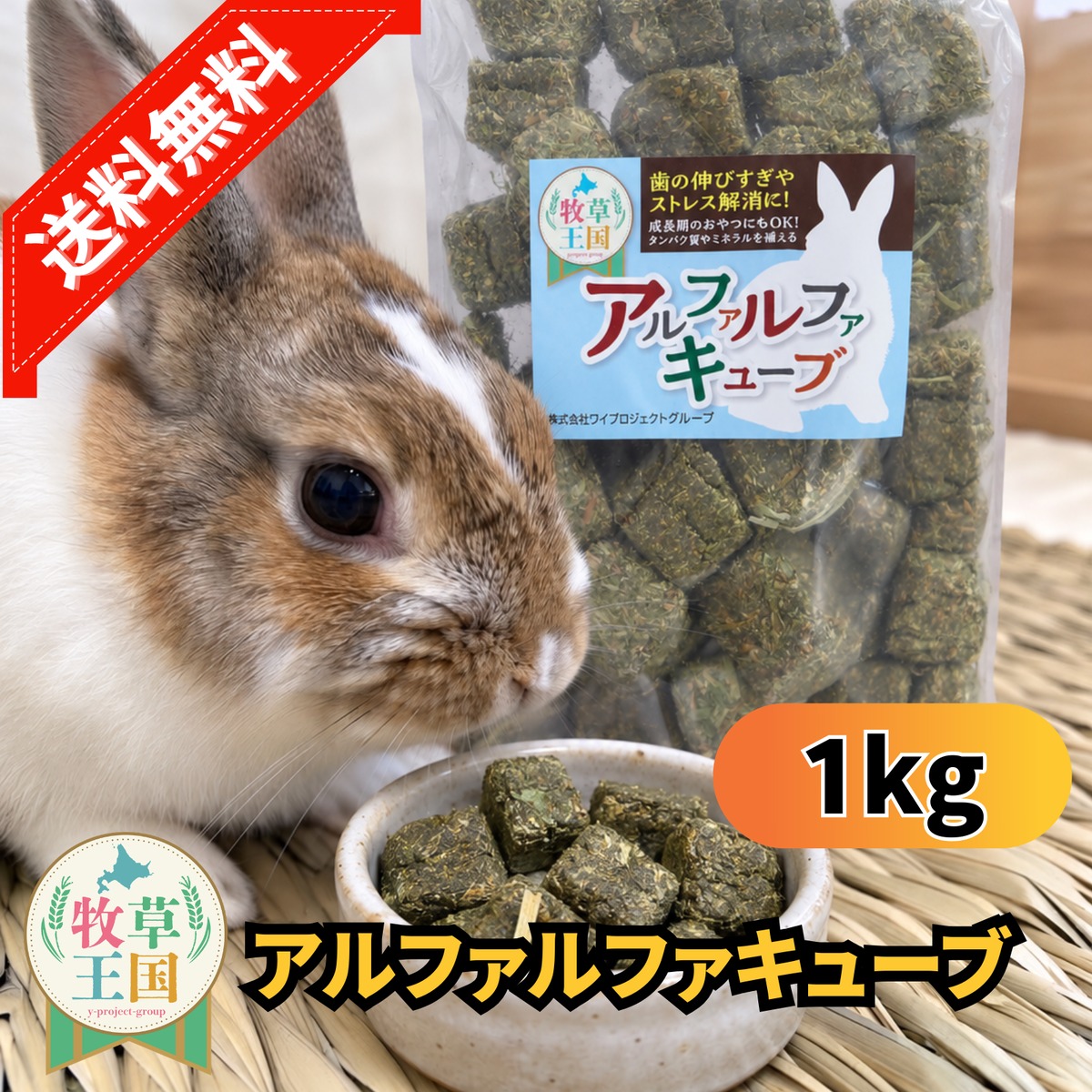 牧草王国 アルファルファキューブ 1kg | うさぎの牧草チモシーもふ