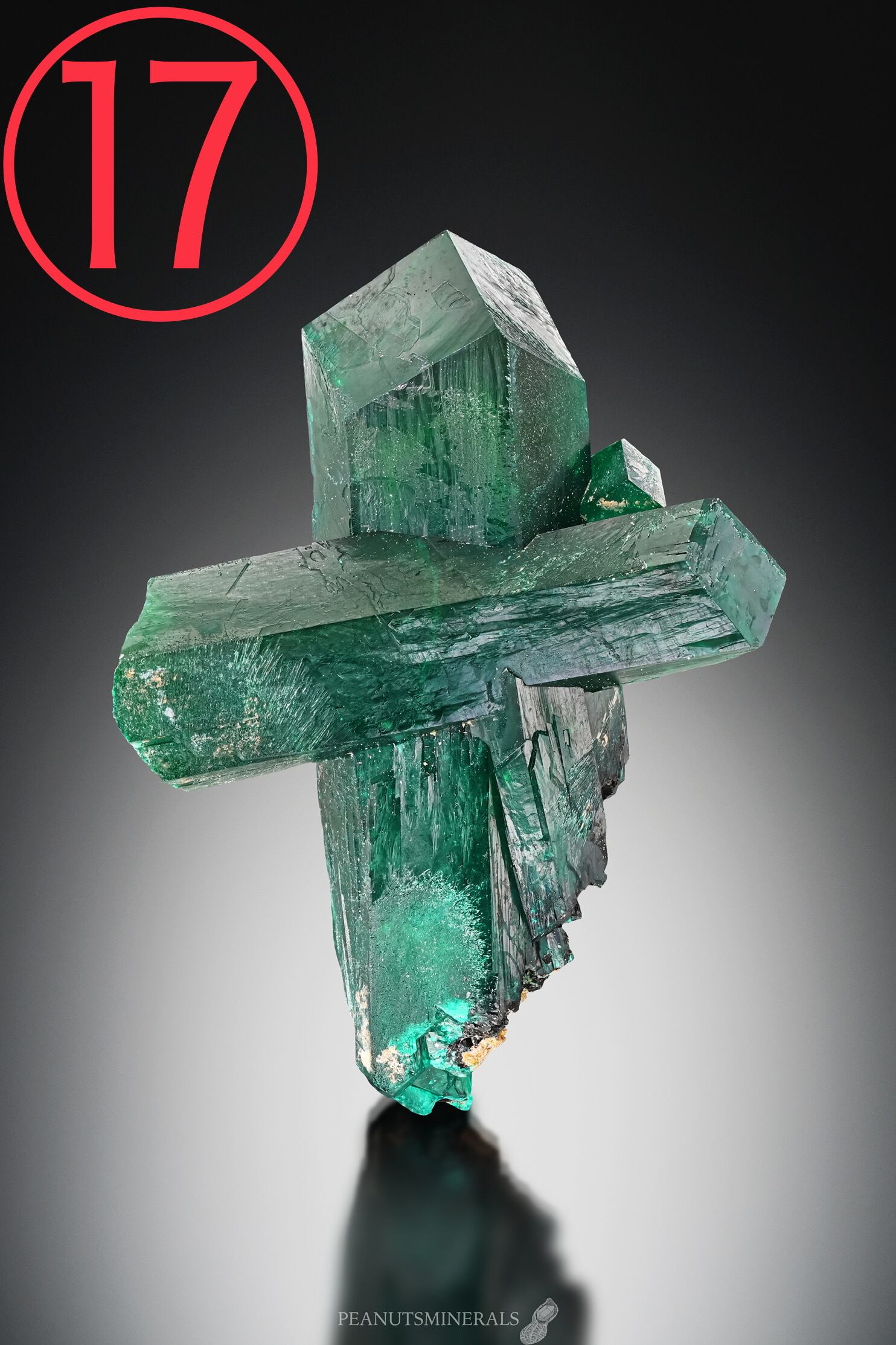 鉱物まとめ売り 大江理工社 ブック型標本セット 「人と鉱物」 - クリスタルポケット