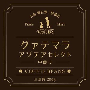 コーヒー豆200g：グァテマラ アゾテアセレクト (中煎)