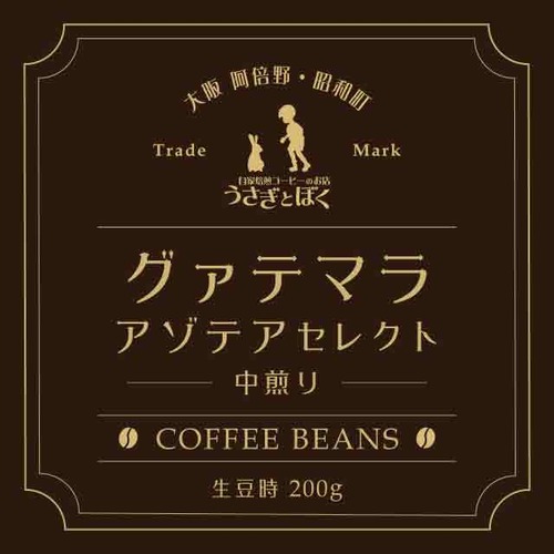 コーヒー豆：グァテマラ アゾテアセレクト（中煎）