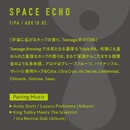 ＜Space Echo＞ 500ml缶