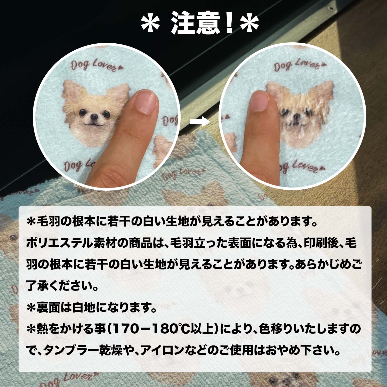 キャバリア 毛色4色 】 タオルハンカチ ピンク＆ブルー2枚セット
