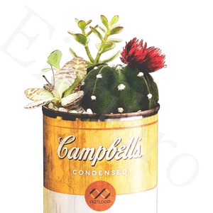 アートポスター / Cactus in the can [yellow]　eb171
