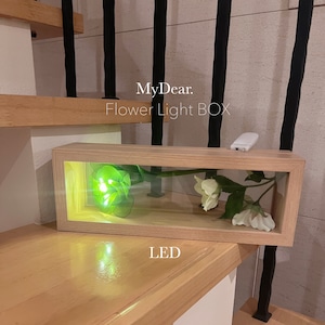 LEDフラワーライトボックス<Flower Light Box>コンセントタイプ