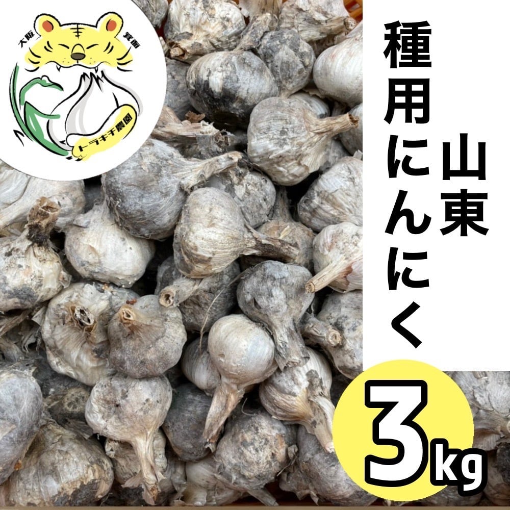 L〜SSサイズ混合キズ　無臭ニンニク種・球根 3kg(100粒以上)その⑧ L〜SSサイズ混合キズ 無臭ニンニク種・球根 3kg(100粒以上)その⑧