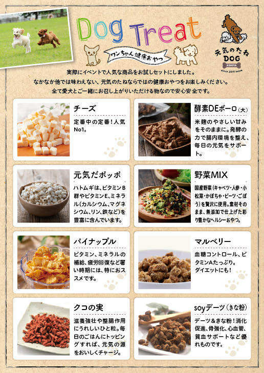 犬 おやつ 無添加 お試し 詰め合わせ 全15種類 送料無料 ジャーキー