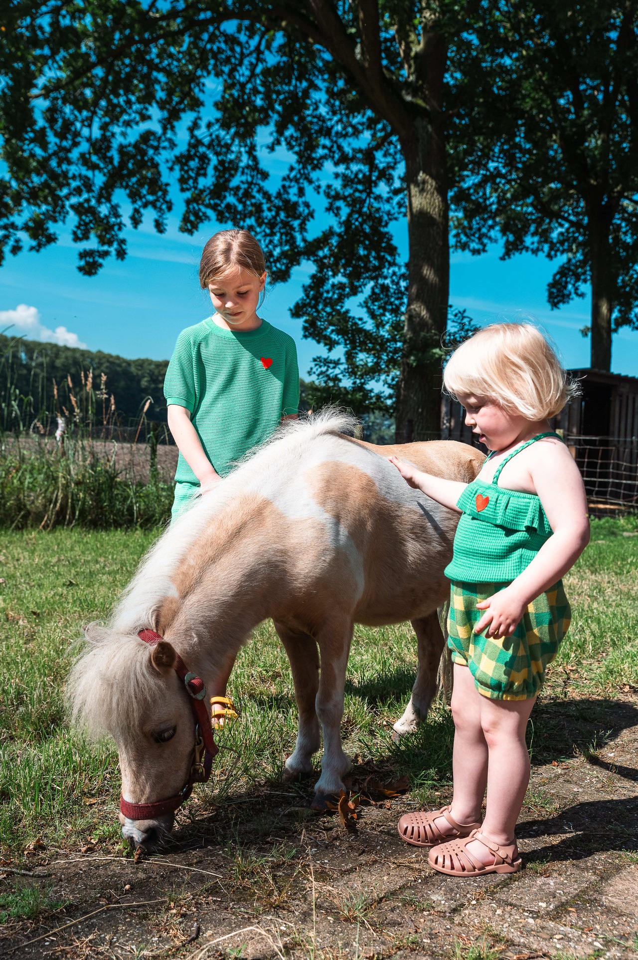 Knit Planet /Baby Bloomer - green/yellow