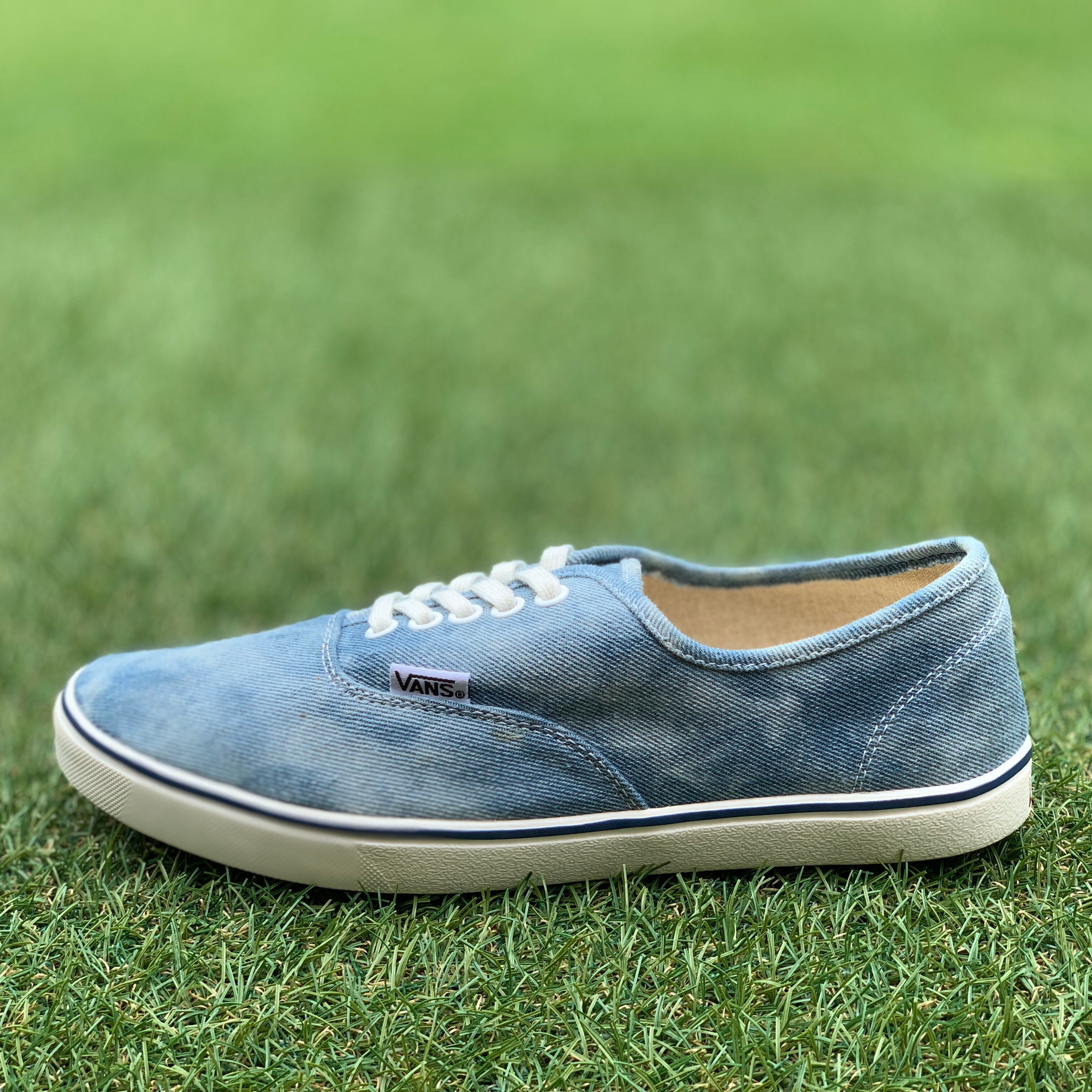 VANS AUTHENTIC ヴァンズ オーセンティック B773
