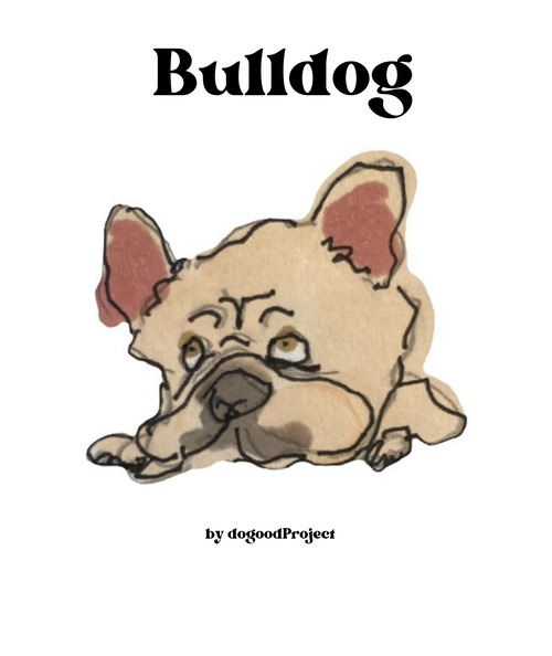 Bulldog(ブルドッグ)