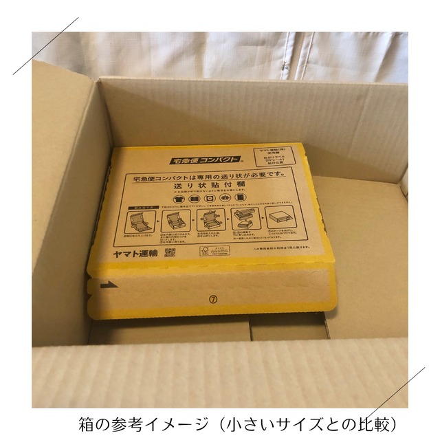 ＜クール便・木曜日発送＞【さらに大きいサイズ】季節のお野菜セット