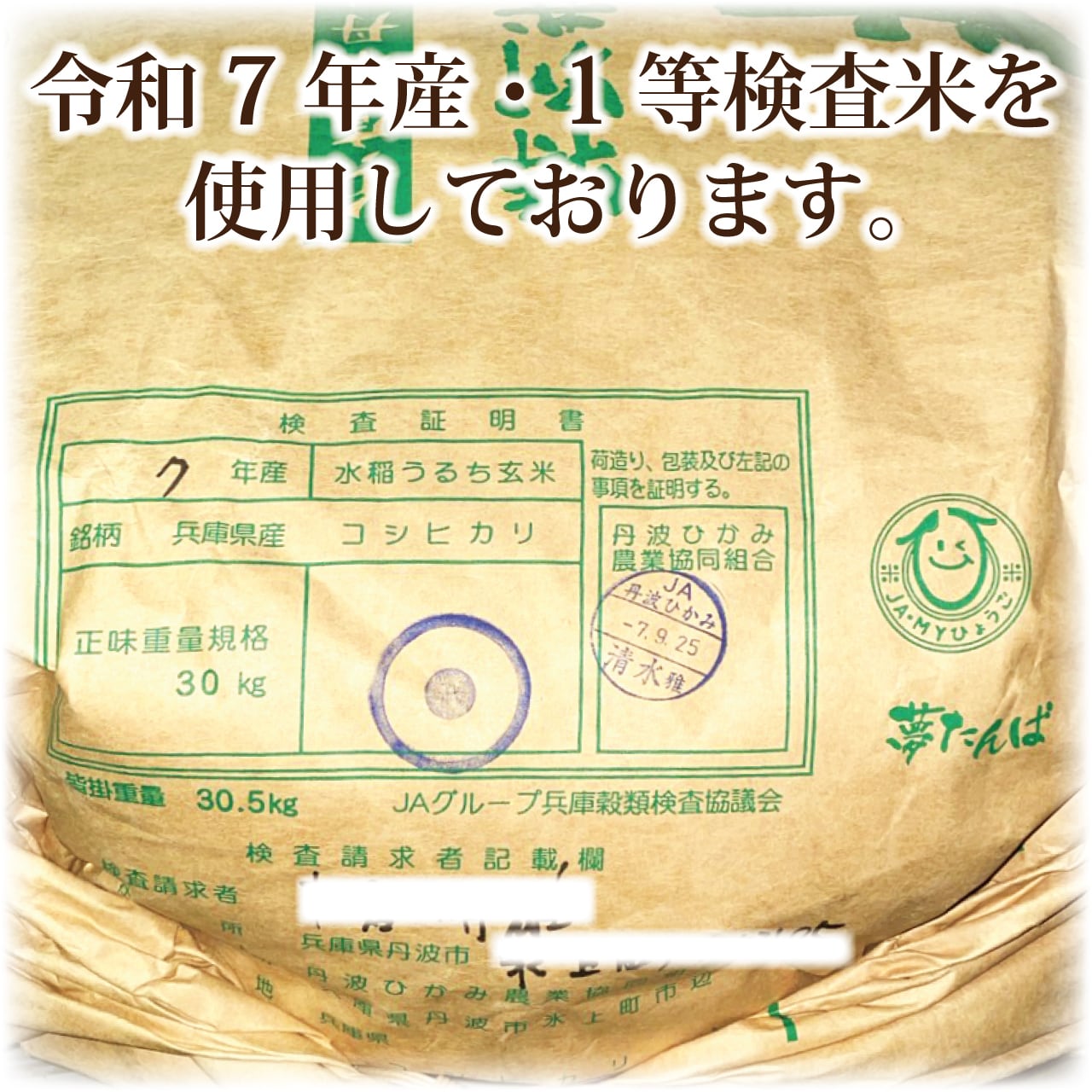 兵庫県丹波市産！令和7年産 農薬不使用コシヒカリ玄米10kg 令和7年産 【減農薬特別栽培米】兵庫県丹波産夢たんばこしひかり 玄米