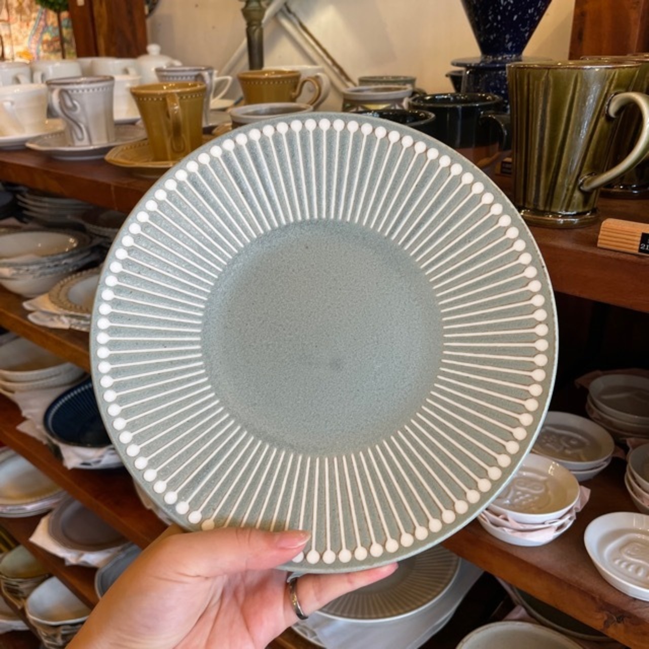 Albee 220plate 3colors / 美濃焼 日本製 アルビー 220プレート 全3色 陶磁器 食卓 日常使い キッチン雑貨 シンプル ナチュラル かわいい 皿 平皿 ギフト プレゼント