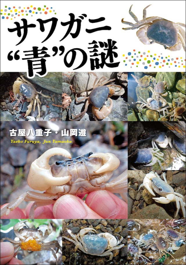 【カニカニ】慶應医学部青本2007年度、2012年度まとめ売り サワガニ“青”の謎 | 南の風社：BOOK SHOP
