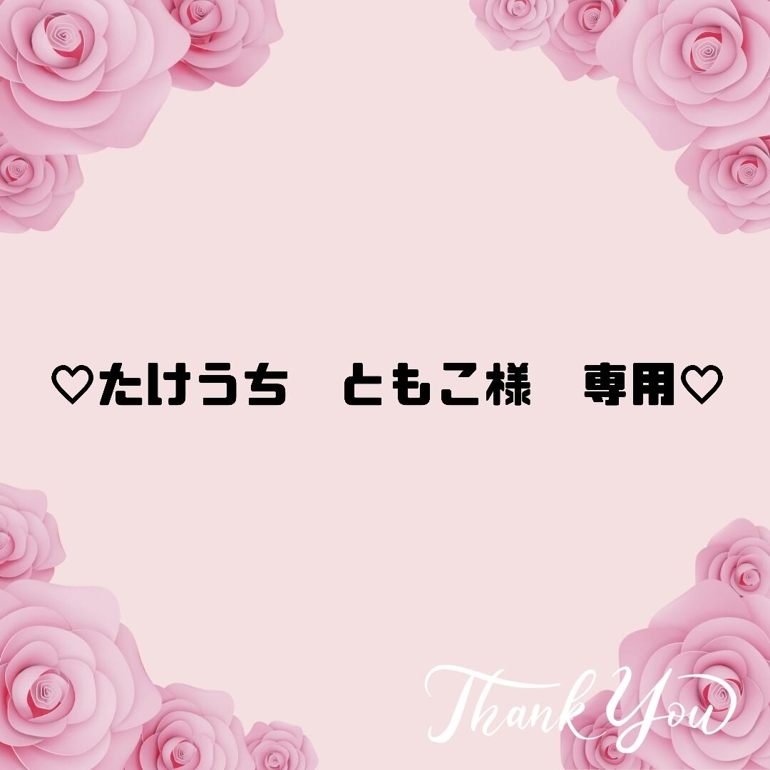 ☆ともこ様専用☆ 朋子様専用 ともこ様✨️御専用カフェマット(2枚) 様
