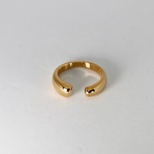 FT0097 [stainless ring]