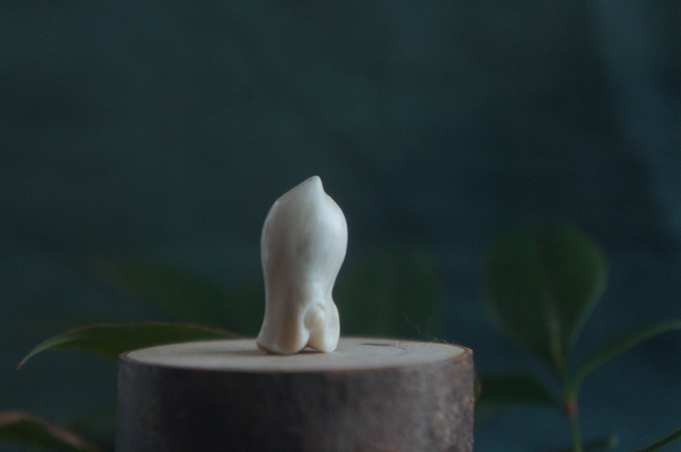 鹿角彫刻「兎角亀毛」猫にのっとられたおばけ【8】 | deer bone 