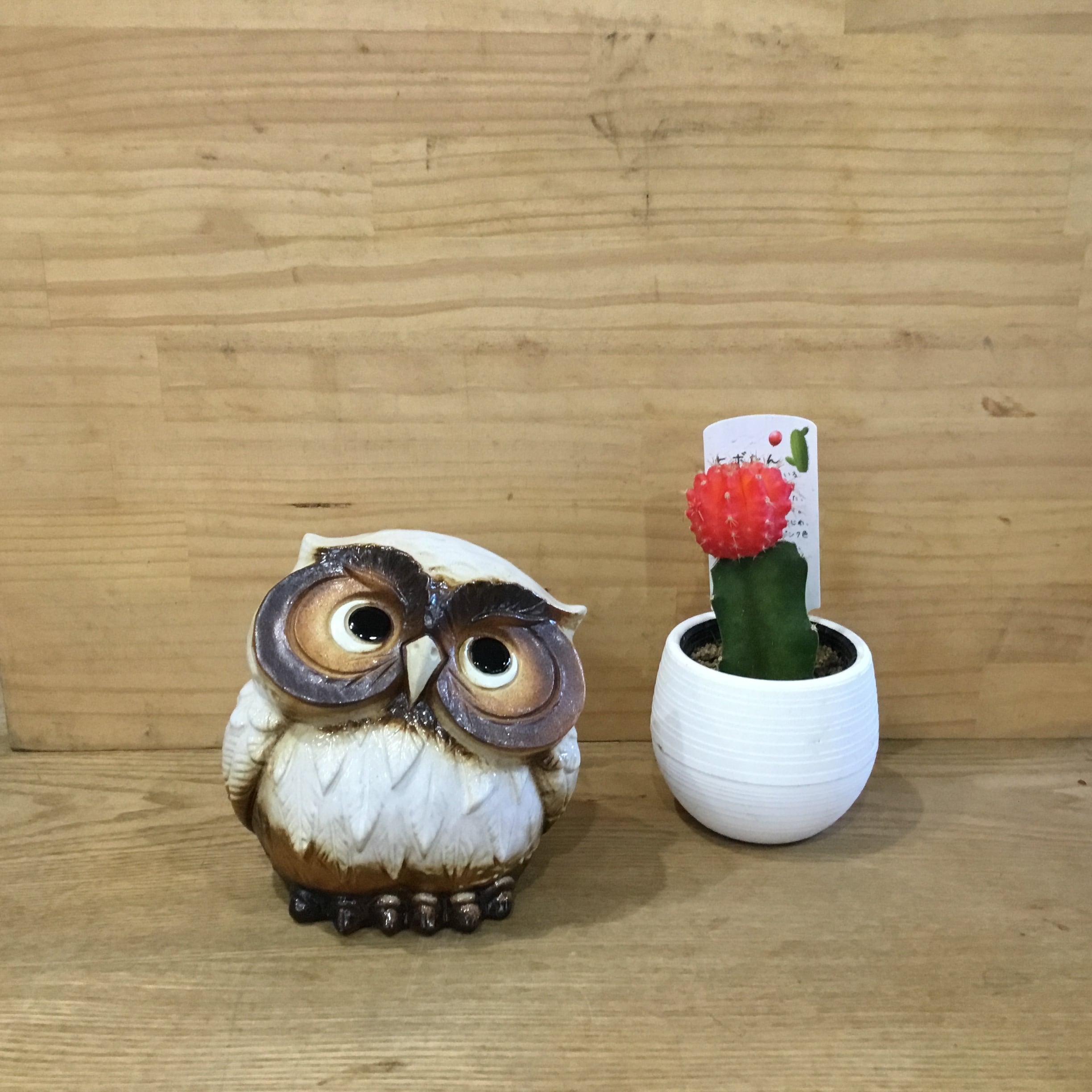 信楽焼 首かしげふくろう(白色) 3号 | 趣味の園芸と陶器山竹