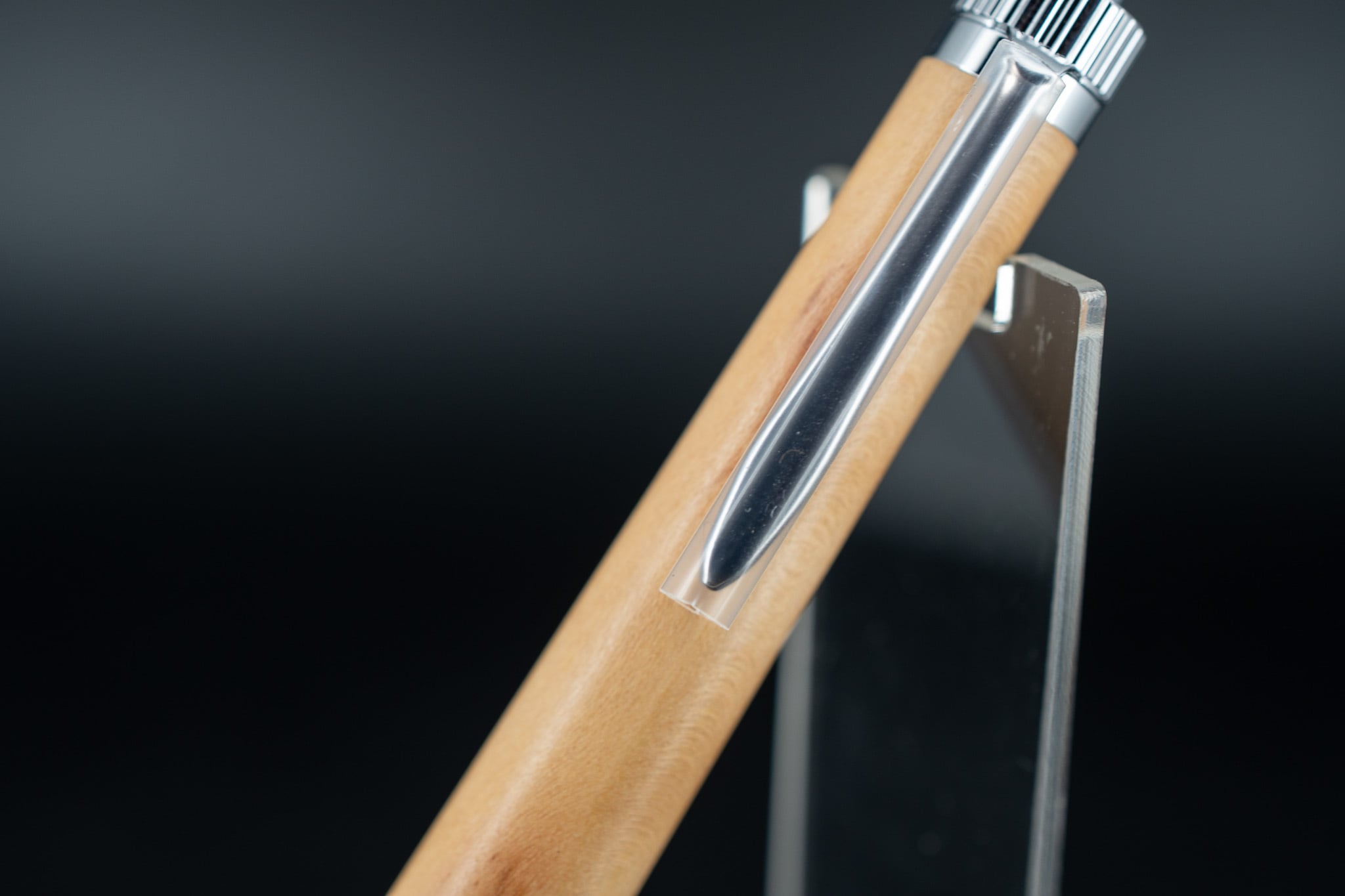 【庭木の王様】 木斛 (モッコク) silver BP